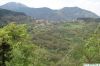 Filename=DSC01273.JPG
Filesize=227KiB
Dimensions=1127x749
Date added=Aug 02, 2009 DSC01273.JPG
