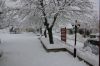 Filename=IMG_4988.jpg
Filesize=425KiB
Dimensions=1024x683
Date added=Jan 13, 2012 IMG_4988.jpg