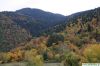 Filename=mplostiani_2011.jpg
Filesize=282KiB
Dimensions=1024x683
Date added=Nov 17, 2011 mplostiani_2011.jpg