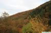 Filename=november_2011_2.jpg
Filesize=277KiB
Dimensions=1024x683
Date added=Nov 17, 2011 november_2011_2.jpg