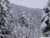 Filename=snow.JPG
Filesize=210KiB
Dimensions=1037x778
Date added=Aug 01, 2009 snow.JPG