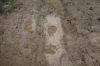 Filename=DSC011988.jpg
Filesize=579KiB
Dimensions=1200x800
Date added=Oct 23, 2014 DSC011988.jpg